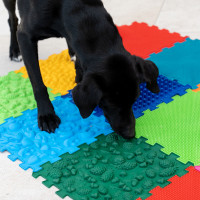 Smyslová masážní podložka pro psy Puzzle "Mix" 8 modulů Fyzioterapie psů