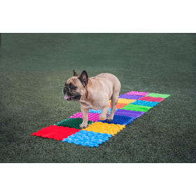 Smyslová masážní podložka pro psy Puzzle "Mega Mix" 14 modulů Fyzioterapie psů